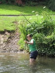 SX22933 Jenni wading through Clun river next to perfectly good bridge.jpg